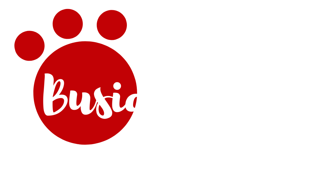 Busicor Feeds